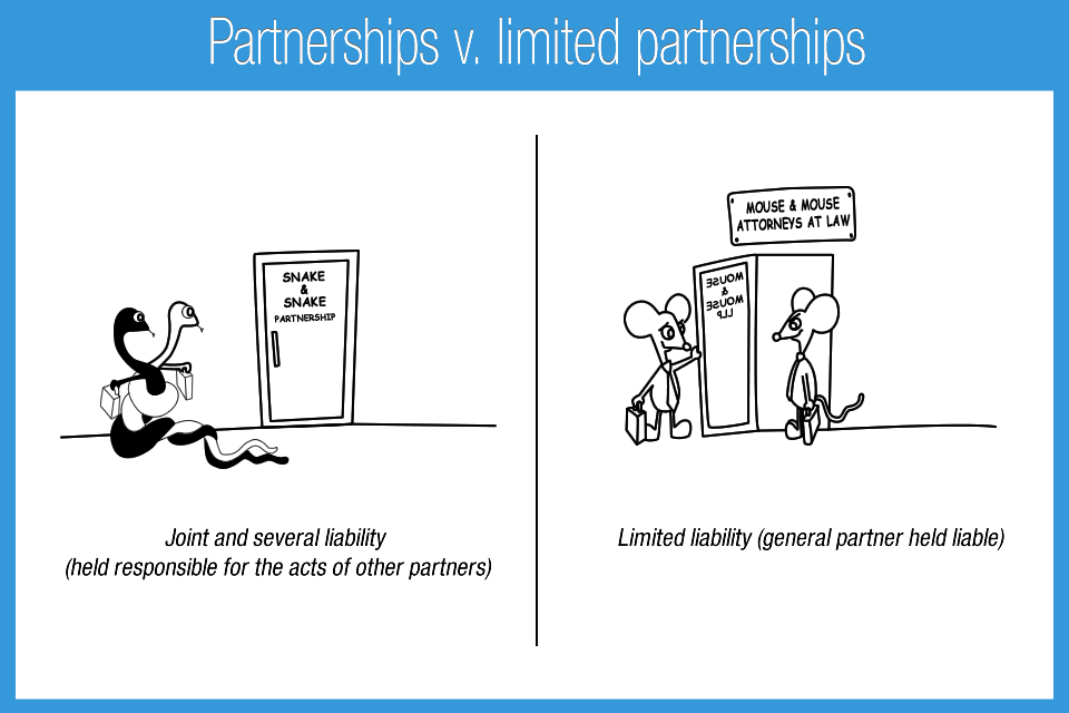 Partnerships v. limited partnerships - Accounting Play