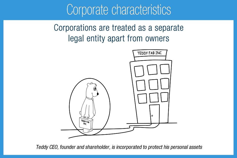 N_9F_Corporate_characteristics