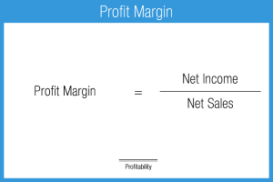 Net Profit Margin - Accounting Play