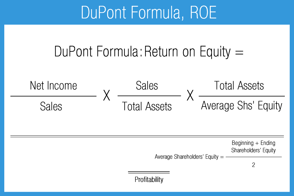 Profitability Ratios Accounting Play 6045