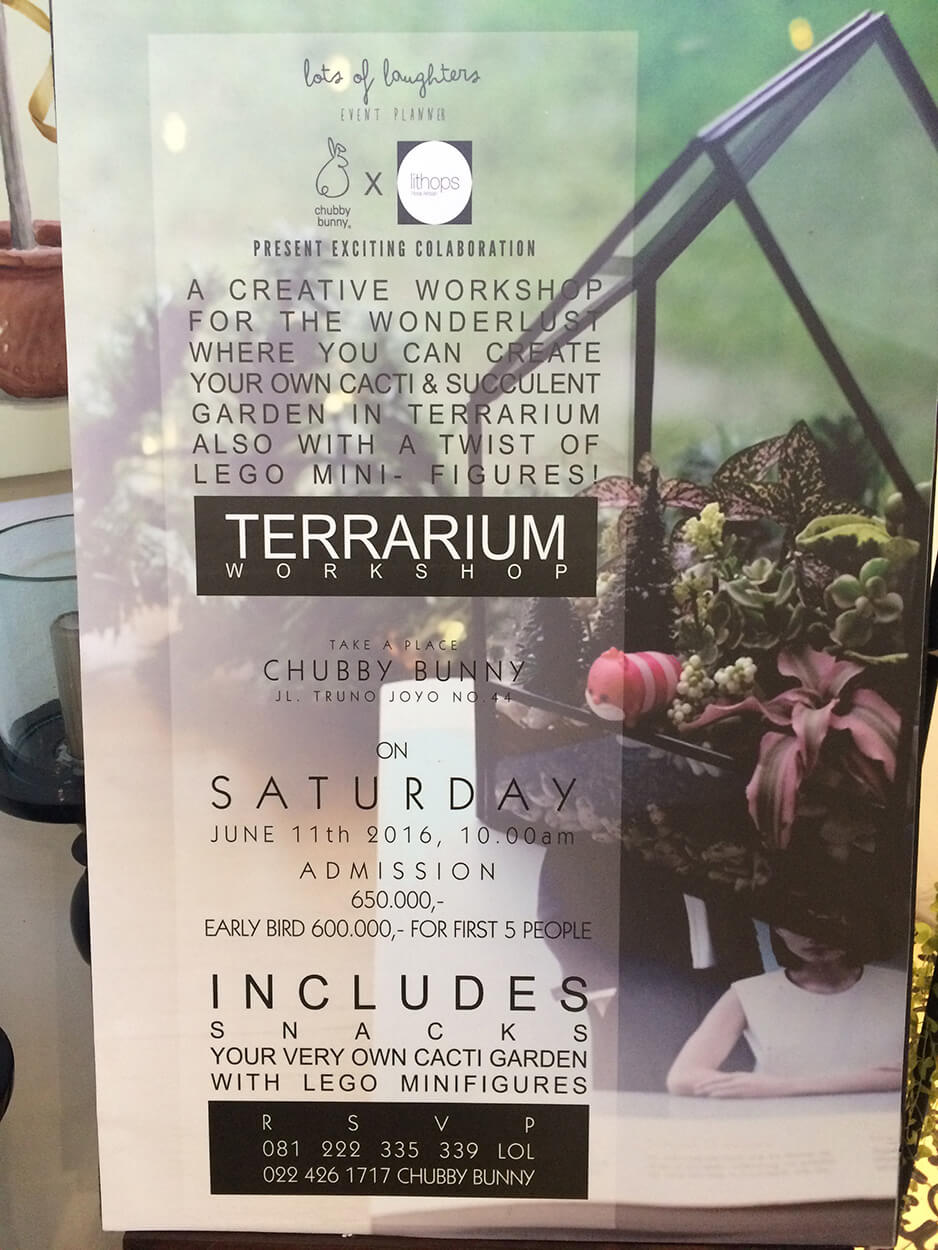 Indonesian Terrarium Classes, Who Knew?