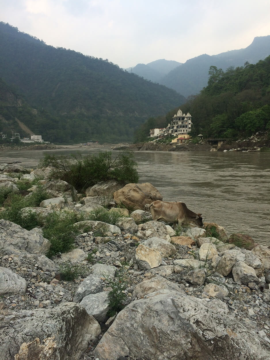 A Peaceful View of the Ganges Banks