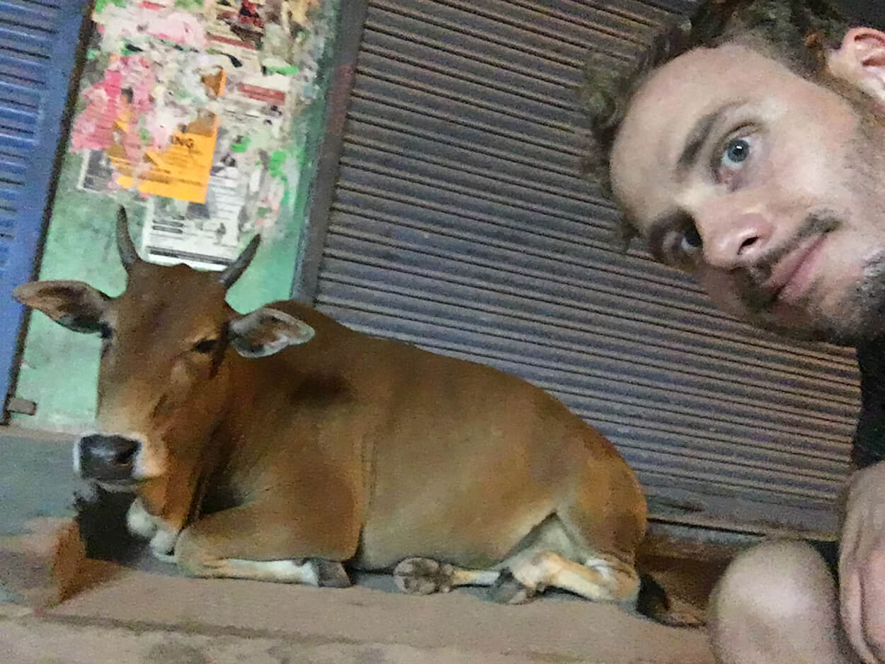 Late Night Friend