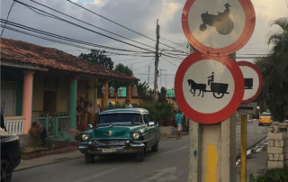 Cuban Farm Signs, Accounting Play