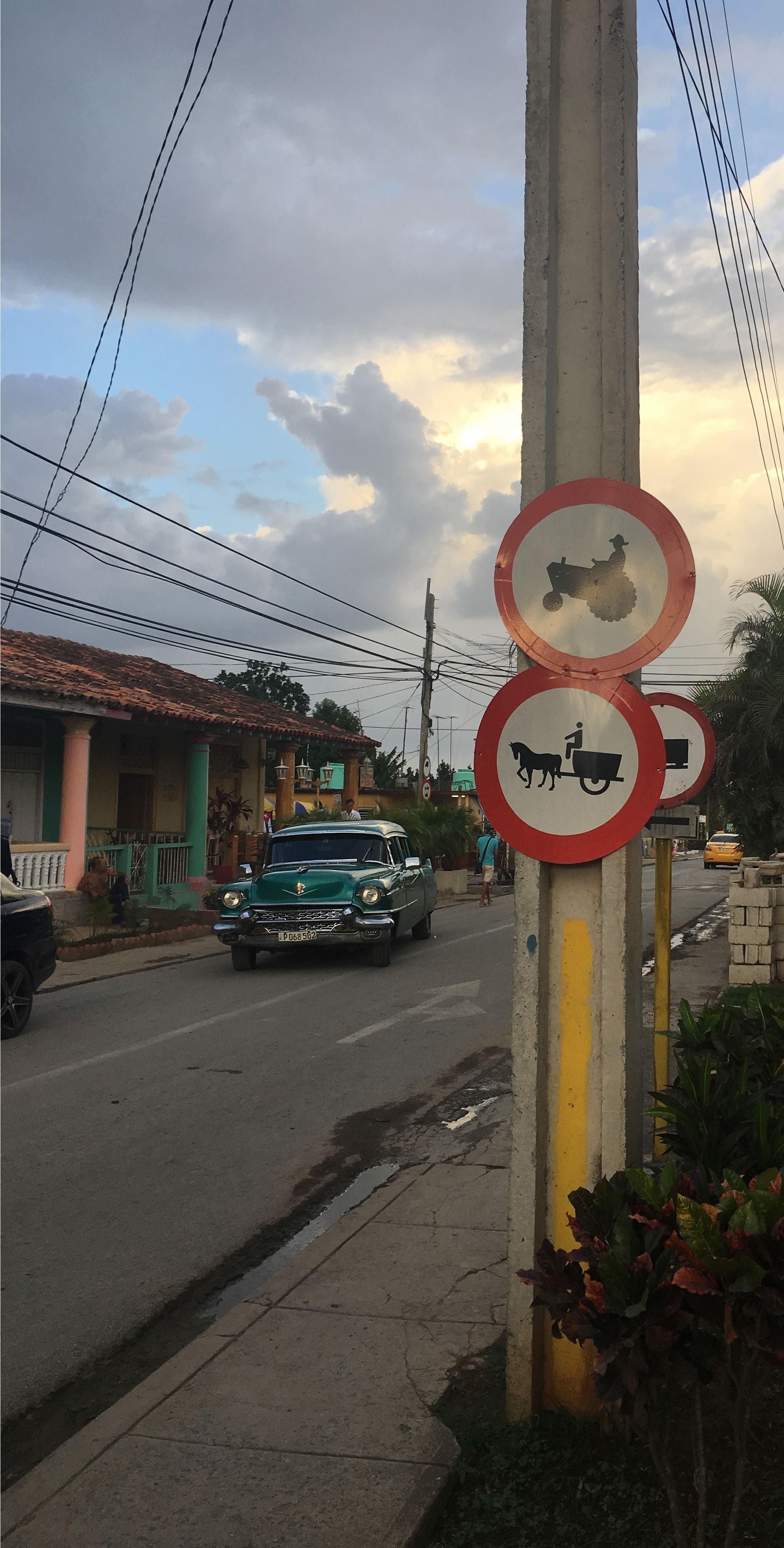 Cuban Farm Signs, Accounting Play